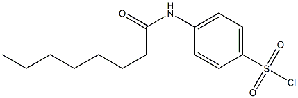  4-octanamidobenzene-1-sulfonyl chloride