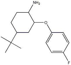 4-tert-butyl-2-(4-fluorophenoxy)cyclohexan-1-amine Struktur