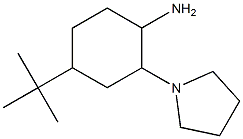 4-tert-butyl-2-pyrrolidin-1-ylcyclohexanamine Structure