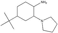  4-tert-butyl-2-pyrrolidin-1-ylcyclohexanamine