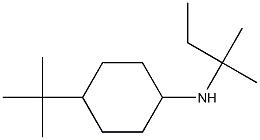 4-tert-butyl-N-(2-methylbutan-2-yl)cyclohexan-1-amine
