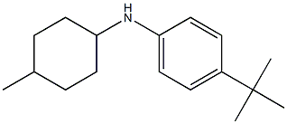 4-tert-butyl-N-(4-methylcyclohexyl)aniline 化学構造式