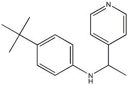 4-tert-butyl-N-[1-(pyridin-4-yl)ethyl]aniline Struktur