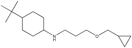 4-tert-butyl-N-[3-(cyclopropylmethoxy)propyl]cyclohexan-1-amine Struktur