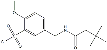 5-[(3,3-dimethylbutanamido)methyl]-2-methoxybenzene-1-sulfonyl chloride 结构式
