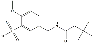 5-[(3,3-dimethylbutanamido)methyl]-2-methoxybenzene-1-sulfonyl chloride Structure