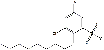 5-bromo-3-chloro-2-(octyloxy)benzene-1-sulfonyl chloride