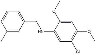 5-chloro-2,4-dimethoxy-N-[(3-methylphenyl)methyl]aniline