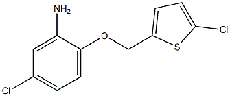 5-chloro-2-[(5-chlorothiophen-2-yl)methoxy]aniline 结构式