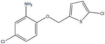 5-chloro-2-[(5-chlorothiophen-2-yl)methoxy]aniline|