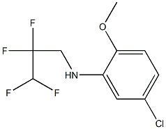 5-chloro-2-methoxy-N-(2,2,3,3-tetrafluoropropyl)aniline Structure