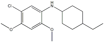 5-chloro-N-(4-ethylcyclohexyl)-2,4-dimethoxyaniline,,结构式