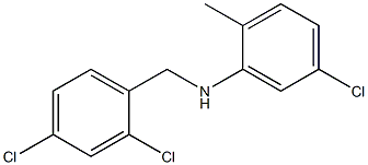 5-chloro-N-[(2,4-dichlorophenyl)methyl]-2-methylaniline