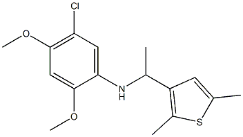 5-chloro-N-[1-(2,5-dimethylthiophen-3-yl)ethyl]-2,4-dimethoxyaniline Structure