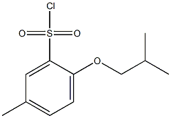 5-methyl-2-(2-methylpropoxy)benzene-1-sulfonyl chloride,,结构式