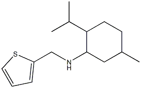 5-methyl-2-(propan-2-yl)-N-(thiophen-2-ylmethyl)cyclohexan-1-amine Struktur