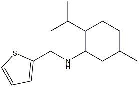 5-methyl-2-(propan-2-yl)-N-(thiophen-2-ylmethyl)cyclohexan-1-amine 结构式