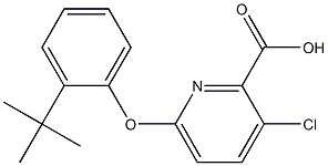 6-(2-tert-butylphenoxy)-3-chloropyridine-2-carboxylic acid Structure