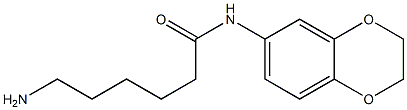6-amino-N-2,3-dihydro-1,4-benzodioxin-6-ylhexanamide