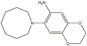  7-(azocan-1-yl)-2,3-dihydro-1,4-benzodioxin-6-amine