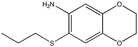 7-(propylsulfanyl)-2,3-dihydro-1,4-benzodioxin-6-amine|