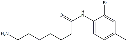 7-amino-N-(2-bromo-4-methylphenyl)heptanamide Structure