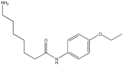 7-amino-N-(4-ethoxyphenyl)heptanamide