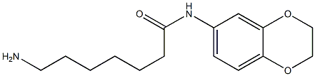 7-amino-N-2,3-dihydro-1,4-benzodioxin-6-ylheptanamide|