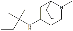 8-methyl-N-(2-methylbutan-2-yl)-8-azabicyclo[3.2.1]octan-3-amine Struktur