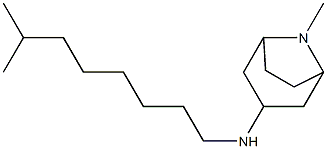 8-methyl-N-(7-methyloctyl)-8-azabicyclo[3.2.1]octan-3-amine 化学構造式