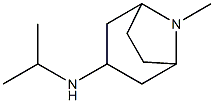 8-methyl-N-(propan-2-yl)-8-azabicyclo[3.2.1]octan-3-amine Struktur