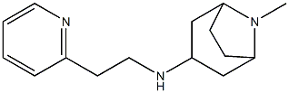 8-methyl-N-[2-(pyridin-2-yl)ethyl]-8-azabicyclo[3.2.1]octan-3-amine 结构式