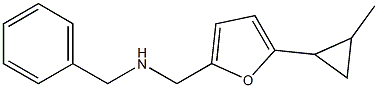 benzyl({[5-(2-methylcyclopropyl)furan-2-yl]methyl})amine Structure