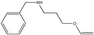 benzyl[3-(ethenyloxy)propyl]amine 化学構造式