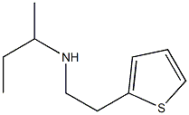 butan-2-yl[2-(thiophen-2-yl)ethyl]amine|