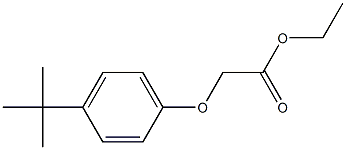 ethyl 2-(4-tert-butylphenoxy)acetate 化学構造式