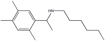 hexyl[1-(2,4,5-trimethylphenyl)ethyl]amine 结构式