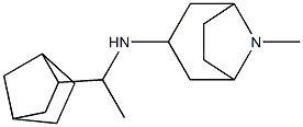 N-(1-{bicyclo[2.2.1]heptan-2-yl}ethyl)-8-methyl-8-azabicyclo[3.2.1]octan-3-amine Struktur