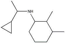 N-(1-cyclopropylethyl)-2,3-dimethylcyclohexan-1-amine 化学構造式