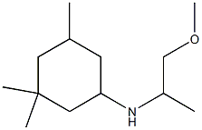 N-(1-methoxypropan-2-yl)-3,3,5-trimethylcyclohexan-1-amine Structure