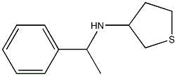 N-(1-phenylethyl)thiolan-3-amine Struktur