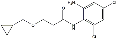 N-(2-amino-4,6-dichlorophenyl)-3-(cyclopropylmethoxy)propanamide,,结构式