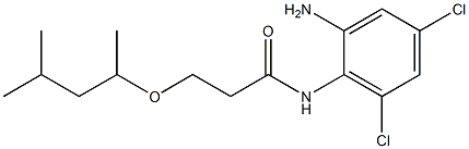 N-(2-amino-4,6-dichlorophenyl)-3-[(4-methylpentan-2-yl)oxy]propanamide Struktur