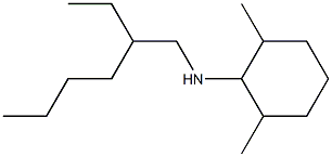 N-(2-ethylhexyl)-2,6-dimethylcyclohexan-1-amine,,结构式