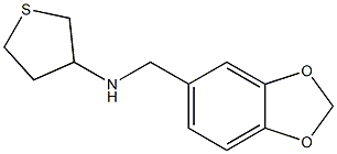 N-(2H-1,3-benzodioxol-5-ylmethyl)thiolan-3-amine Structure