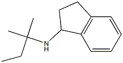 N-(2-methylbutan-2-yl)-2,3-dihydro-1H-inden-1-amine 化学構造式