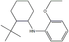 N-(2-tert-butylcyclohexyl)-2-ethoxyaniline