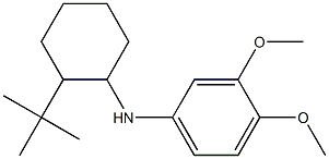  N-(2-tert-butylcyclohexyl)-3,4-dimethoxyaniline