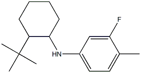  N-(2-tert-butylcyclohexyl)-3-fluoro-4-methylaniline