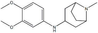 N-(3,4-dimethoxyphenyl)-8-methyl-8-azabicyclo[3.2.1]octan-3-amine Struktur